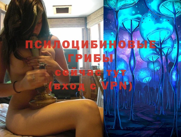 Альфа ПВП Володарск