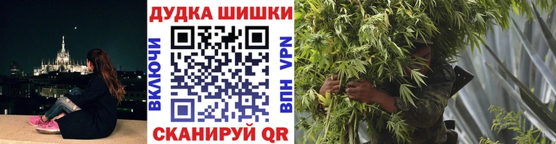 Купить где  Почеп  Бошки марихуана конопля 